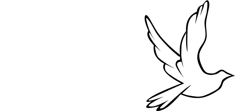 Jane Parker Music - Christmas: Holiday Music - Cd (918x369), Png Download