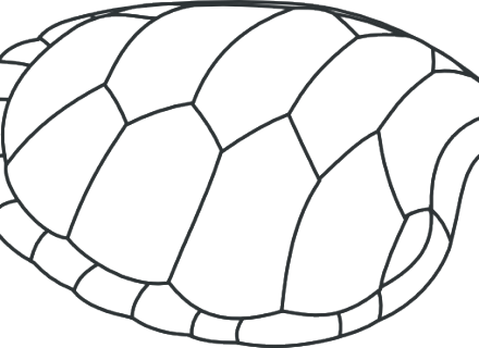 Shell Clip Art - Turtle Clip Art (440x320), Png Download