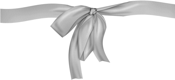 Fotos De Moños Blancos - .net (600x302), Png Download