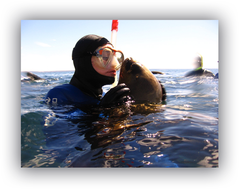 Puerto Madryn (811x646), Png Download