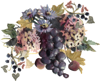 Blue Grapes And Chicory - Grapes And Flowers Illustration (519x346), Png Download