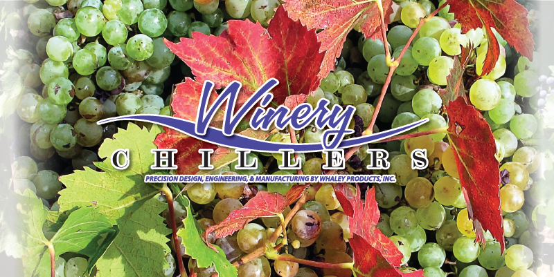 Grape (800x401), Png Download
