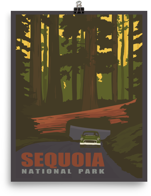 Sequoia National Park California - Sequoia National Park (1000x1000), Png Download