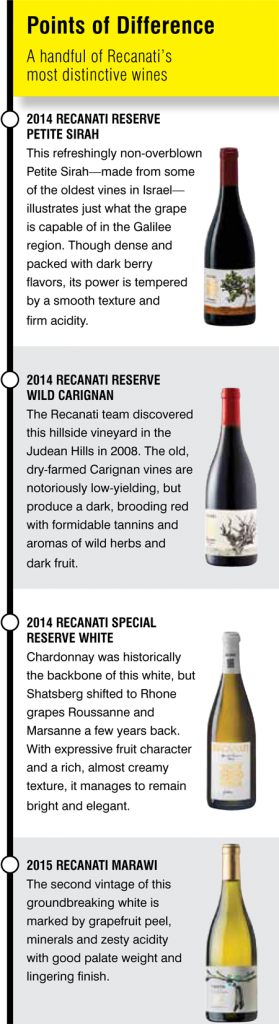 Setting The Pace For Israel's Wine Transformation (279x1024), Png Download
