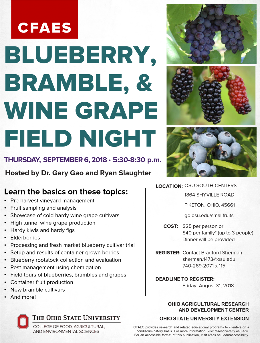 Blueberry, Bramble, & Wine Grape Field Night (930x1200), Png Download