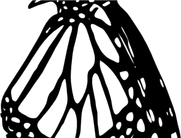 Monarch Butterfly Outline - Monarch Butterfly (640x480), Png Download