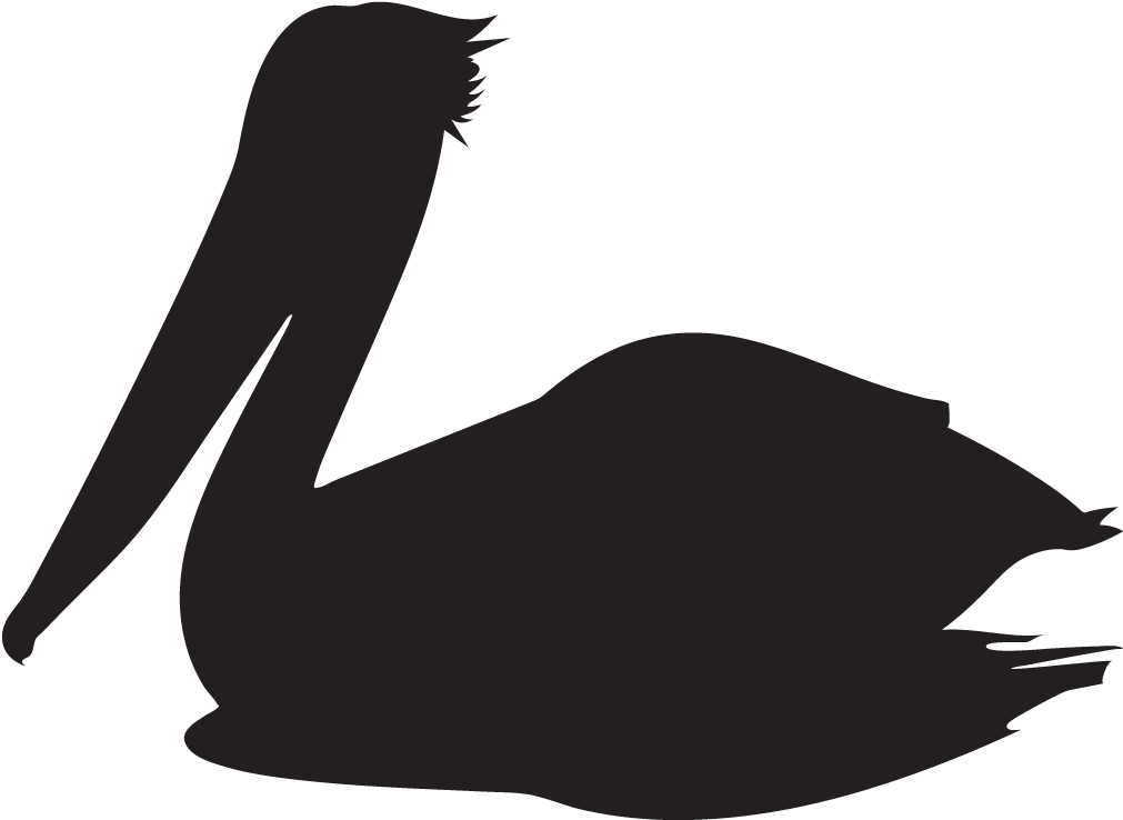 Similar Png's - - Pelican (1024x1024), Png Download