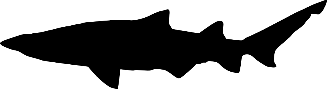 Free Png Shark Silhouette Png Images Transparent - Portable Network Graphics (850x232), Png Download