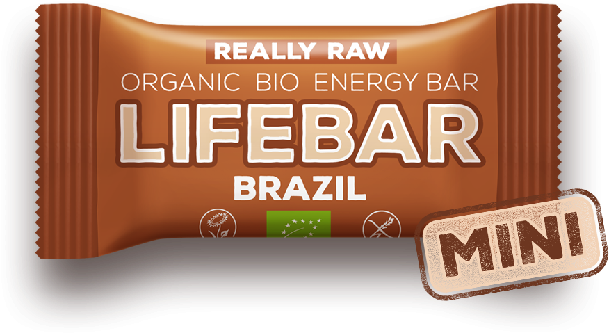 Raw Organic Brazil Mini Lifebar - Lifefood Lifebar Tyčinka Čokoládová Raw Bio 25 G – (1200x1200), Png Download