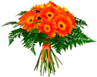 Ramo De Flores - Ramo De Gerberas (412x500), Png Download