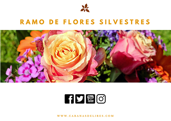 Ramo De Flores Silvestres - Flor Es Silvestres (545x545), Png Download