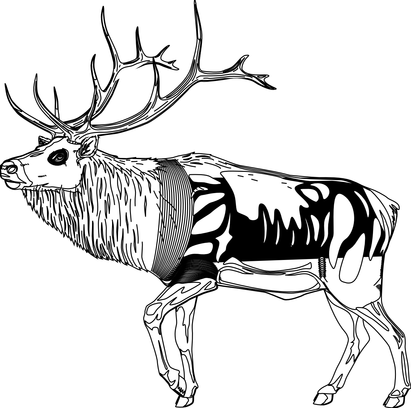 Reindeer Clipart Black And White - Reindeer Drawing Black And White (1331x1323), Png Download