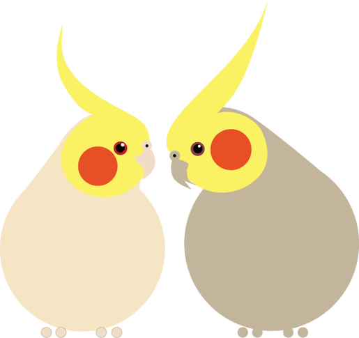 Picture - Cockatiel Color Palette (515x485), Png Download