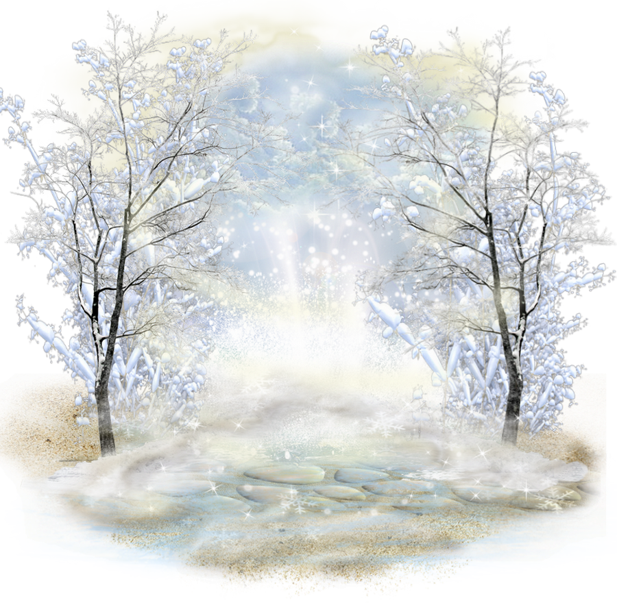 Birch (900x880), Png Download