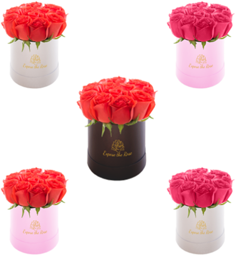 4 1 Gratis - Gift (555x555), Png Download