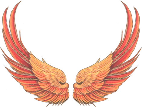 Gifs De Asas Lindas Asa Em Gif De Anjo E Fada, Doll - Крылья Ангела Вектор Png (471x355), Png Download