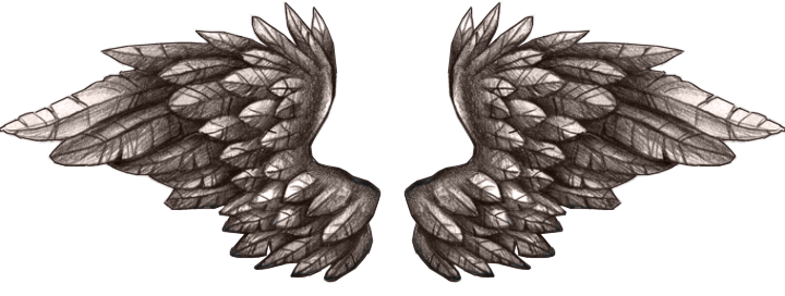 Uma Amiga Postou Essa Frase - Wings (720x272), Png Download