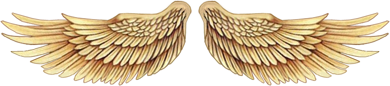 Asas Douradas Png (770x170), Png Download