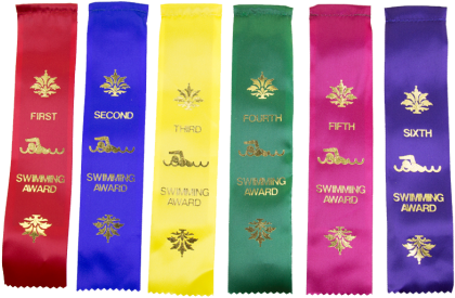 First Place Ribbon Png - Flag (464x348), Png Download