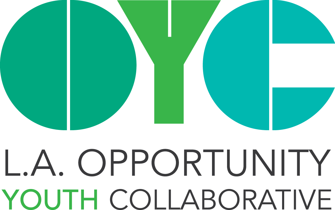 Opportunity Youth Collaborative - La Opportunity Youth Collaborative (1114x700), Png Download