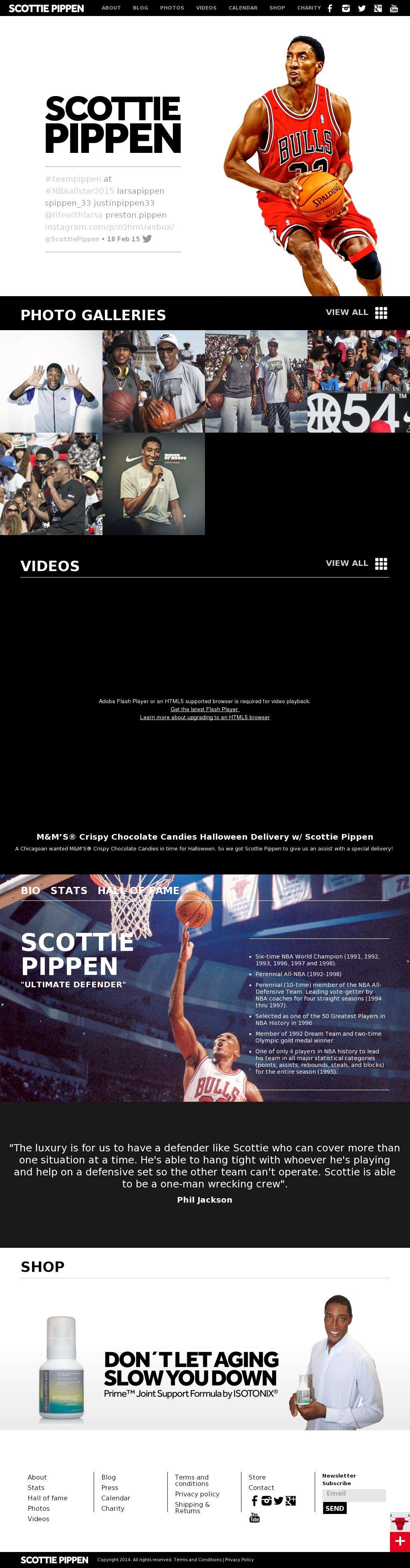 Scottie Pippen Competitors, Revenue And Employees - Fathead Chicago Bulls Scottie Pippen Wall Graphic 23-23011 (1024x3918), Png Download