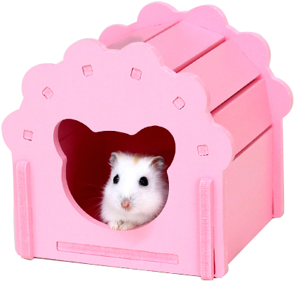 Hamster Hamster Cabin Sleeping Nest Toys Winter Warm - Blancho Cute Hamster Hideout Hut, Cute Wooden Bedding (672x485), Png Download