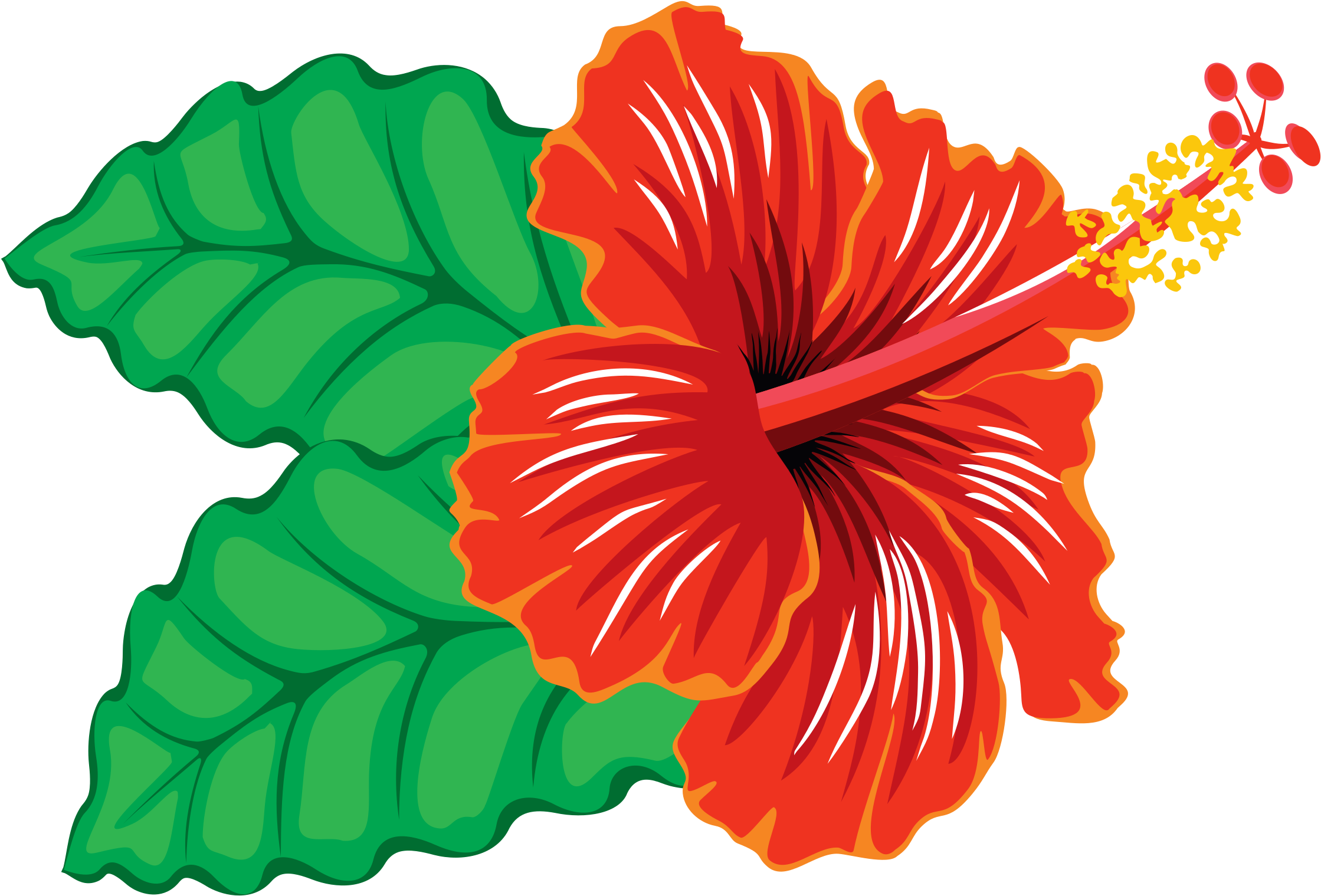 Big Image - Hawaiian Hibiscus (2400x1680), Png Download