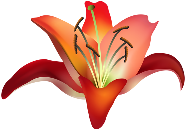 Red Flower Png Clip Art Image - Amaryllis Clipart (600x422), Png Download