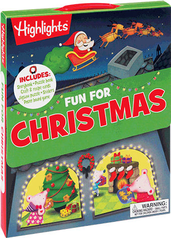 Toys & Early Learning - Fun For Christmas (box Of Fun) (480x480), Png Download