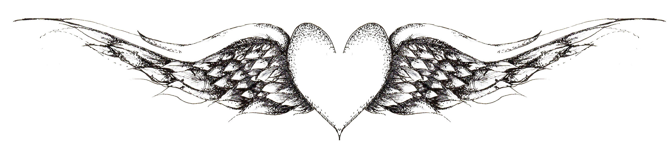Contact - Heart With Wings Drawing Transparent (2779x648), Png Download