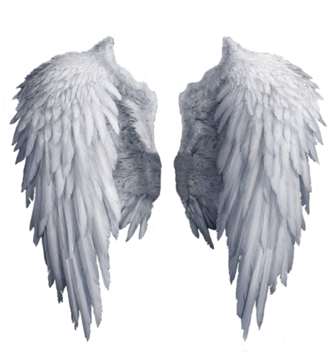 Angel, Background, And Clipart Image - Angel Wings Png (500x582), Png Download