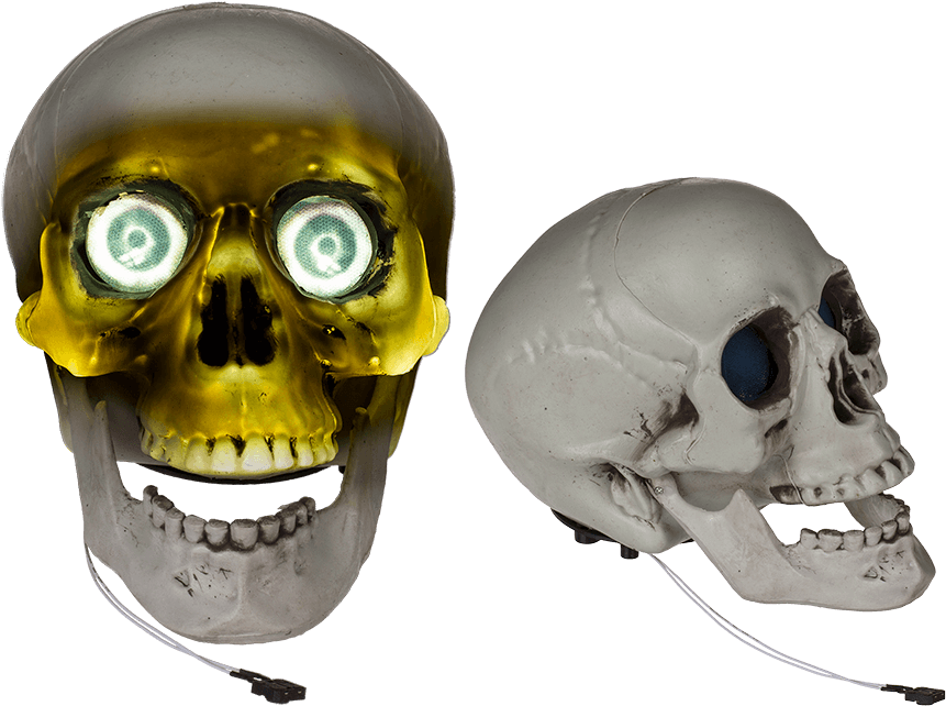 Plastic Skull With Light & Sound Ca - Plastic (945x709), Png Download