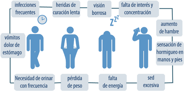 Signos Y Sintomas De La Diabetes Mellitus (600x306), Png Download