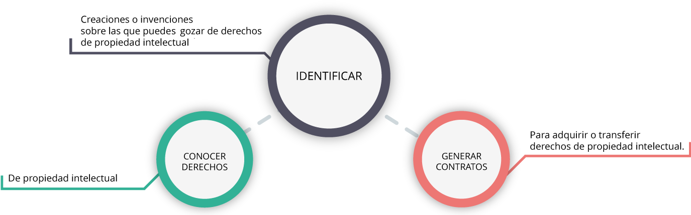 Ofrecemos Una Herramienta On Line Para El Mercado Internacional, - Circle (1443x430), Png Download