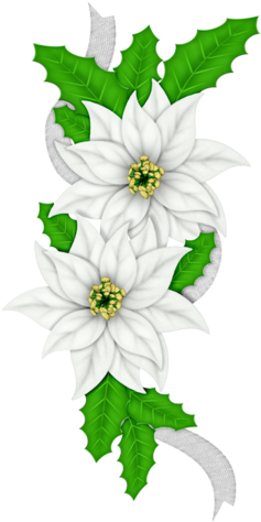 Fm Christmas Melodies Element 18 - Happy Holidays- Christmas, Holiday, Poinsettia Card (265x500), Png Download
