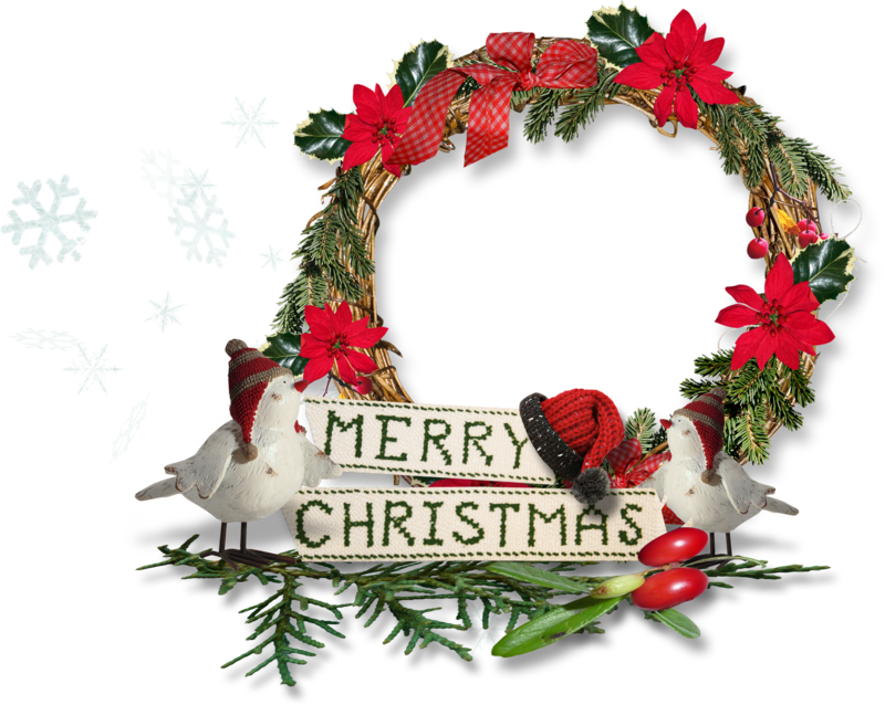 Christmas Flowers Poinsettia Frames - Christmas Day (800x638), Png Download