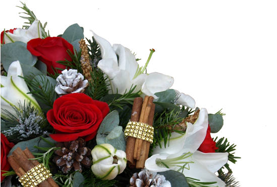 View The Flowers4 Christmas Collection - Email (560x400), Png Download