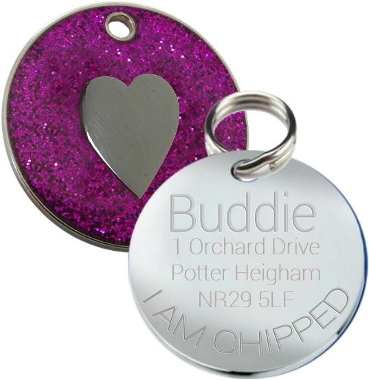 Pet Tag (600x600), Png Download