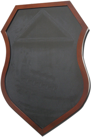 Larger Image - Shield (500x500), Png Download