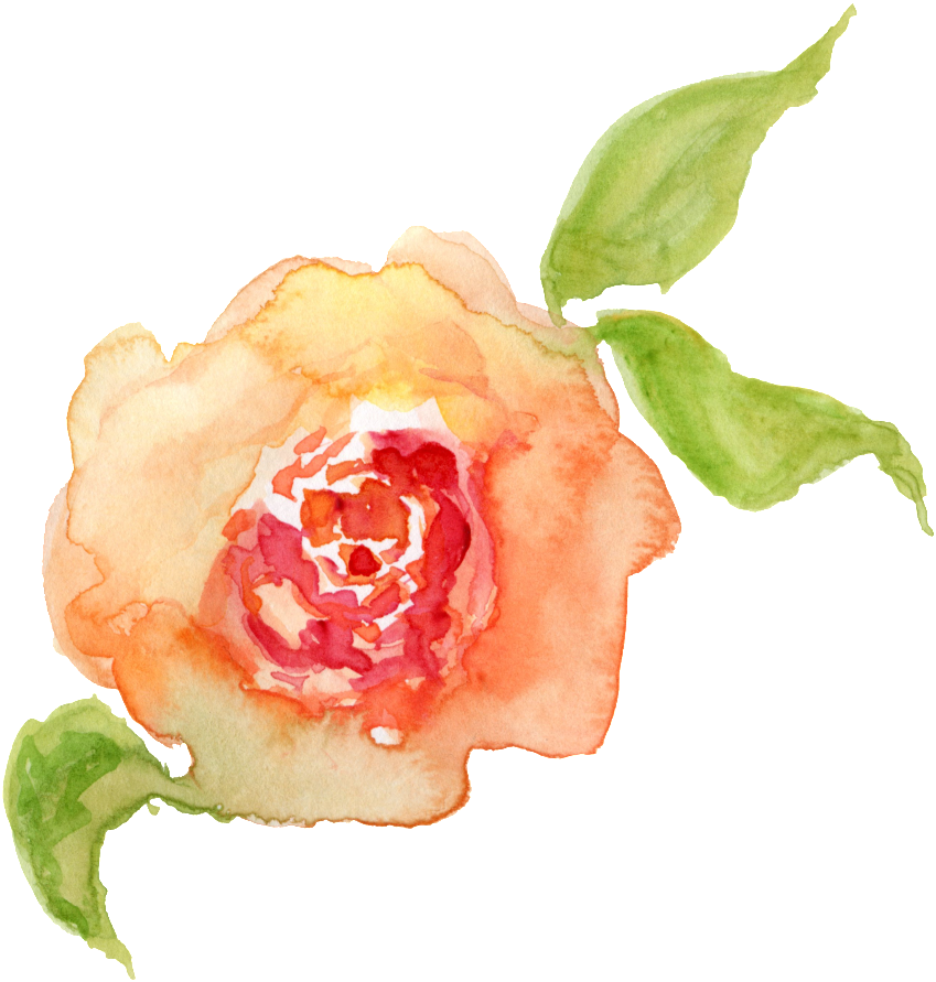 Water Saffron Transparent Decorative - Portable Network Graphics (1024x1026), Png Download