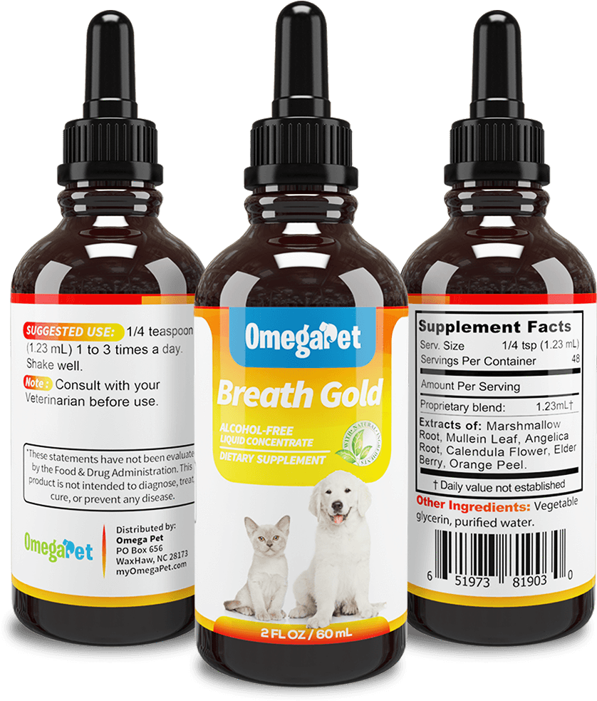 Download Kennel Cough Treatment For Dog Coughing Adrenal Balance Cushings Drops Full Size