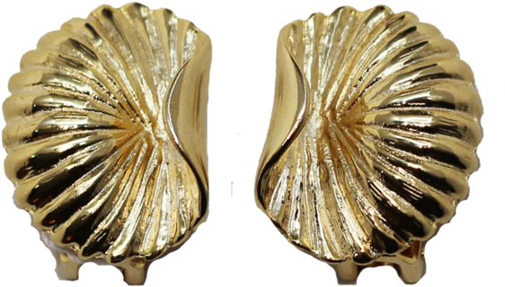 Scallop Earrings - Earrings (600x600), Png Download