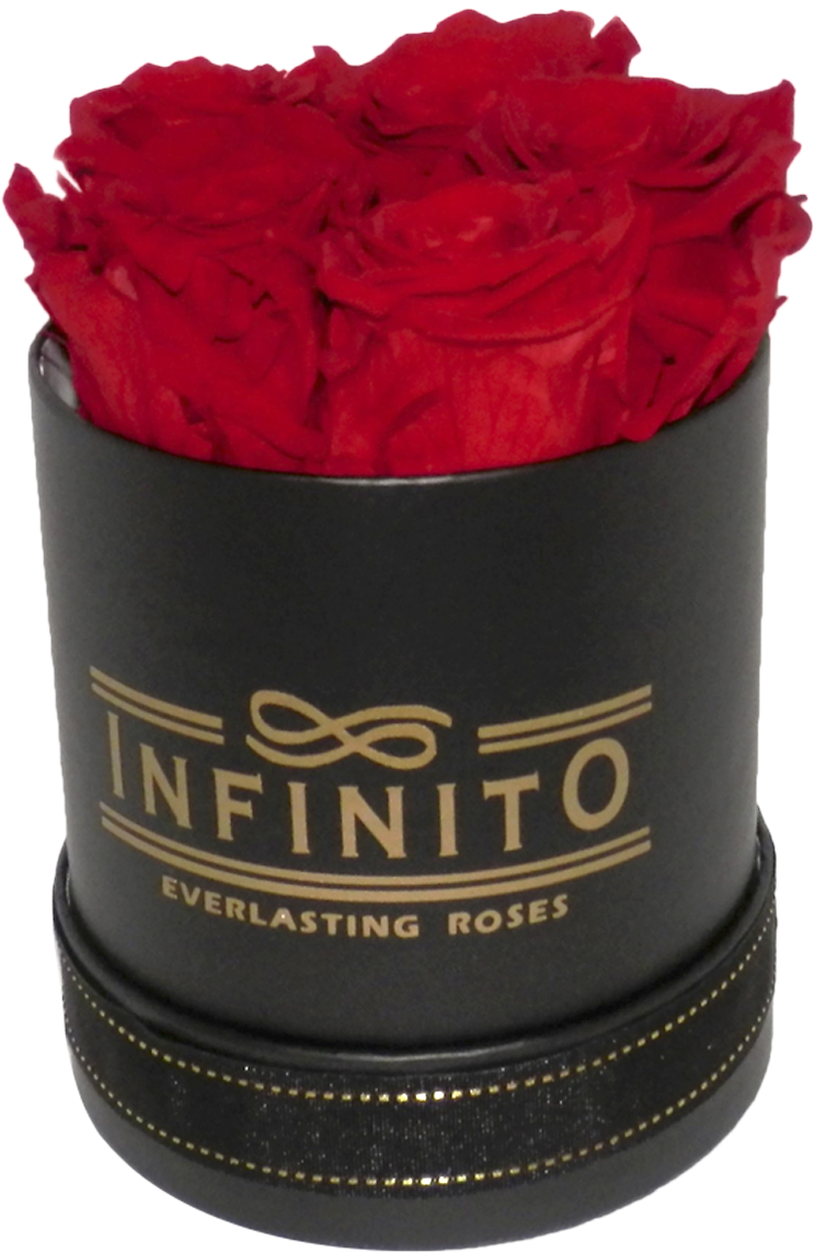 Infinito Petite Round Box - Box (1200x1200), Png Download