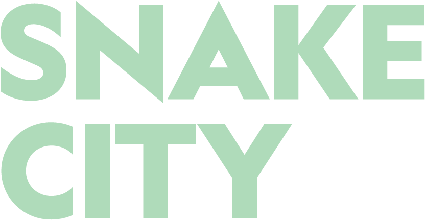 Snake City (1800x480), Png Download