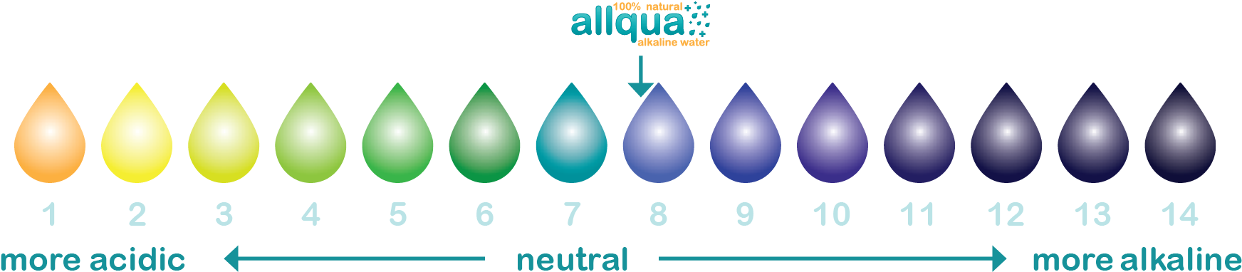 Alkaline Water Ph Scale - Water Ph Png (1747x390), Png Download
