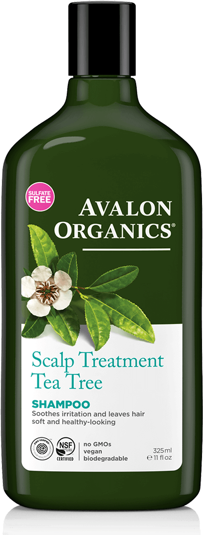 Scalp Treatment Shampoo - Avalon Organics Scalp Treatment Tea Tree Shampoo (580x1124), Png Download