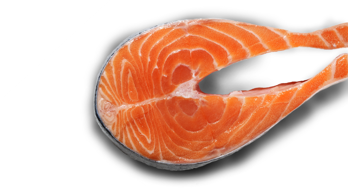 Ingredient Story Protein - Ingredient (1431x809), Png Download