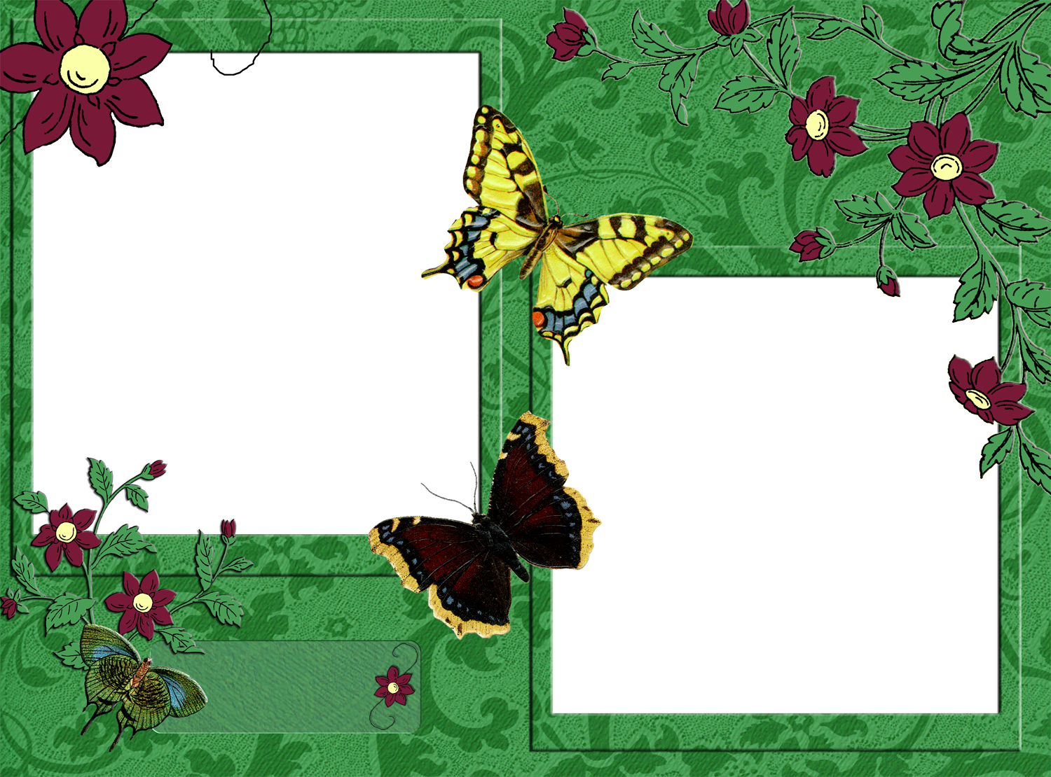 Marcus Jules - Butterfly Canvas (1500x1110), Png Download