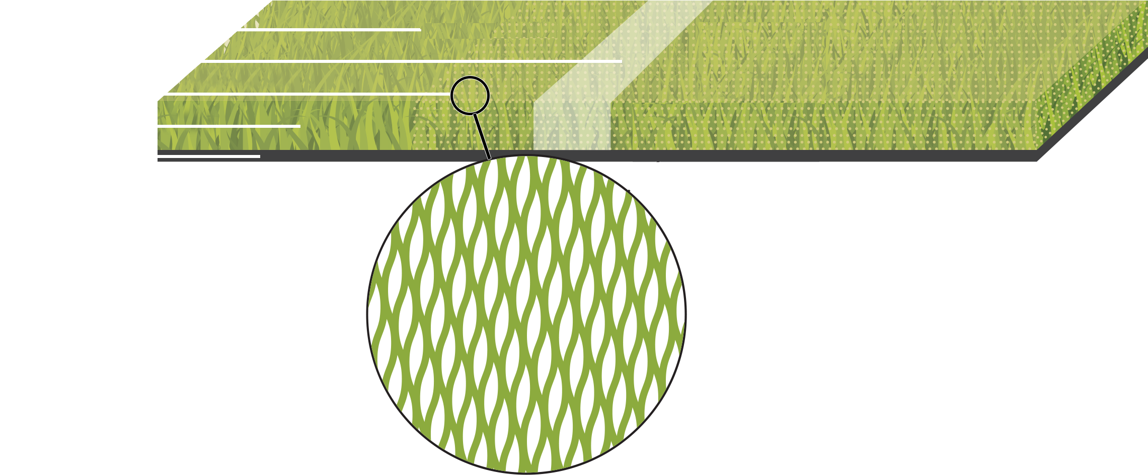 Image Description - Circle (2302x969), Png Download