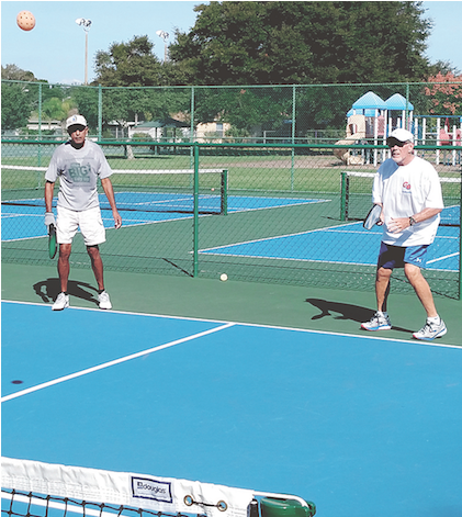 Winter Garden (870x580), Png Download